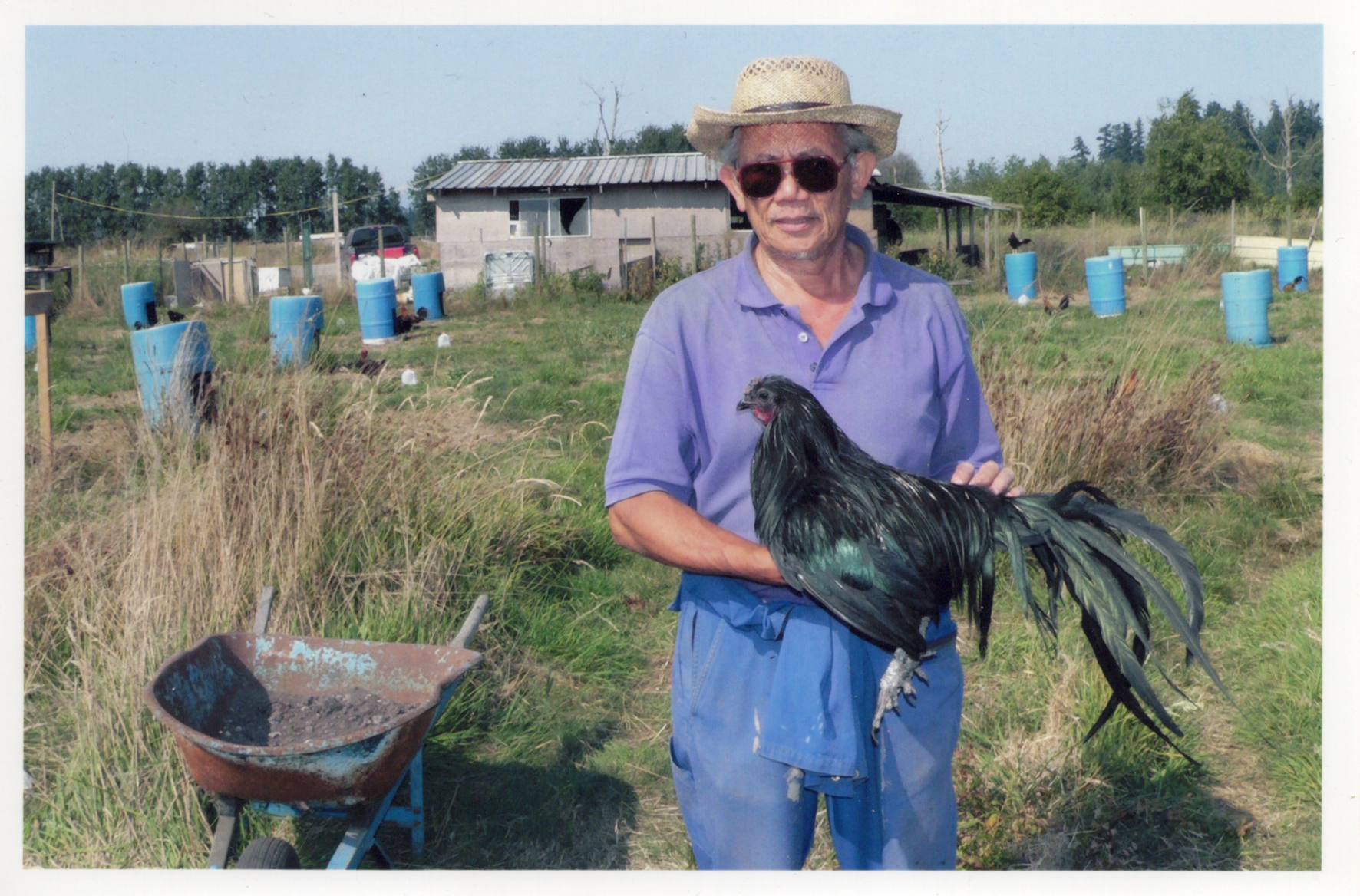 Chicken Man
